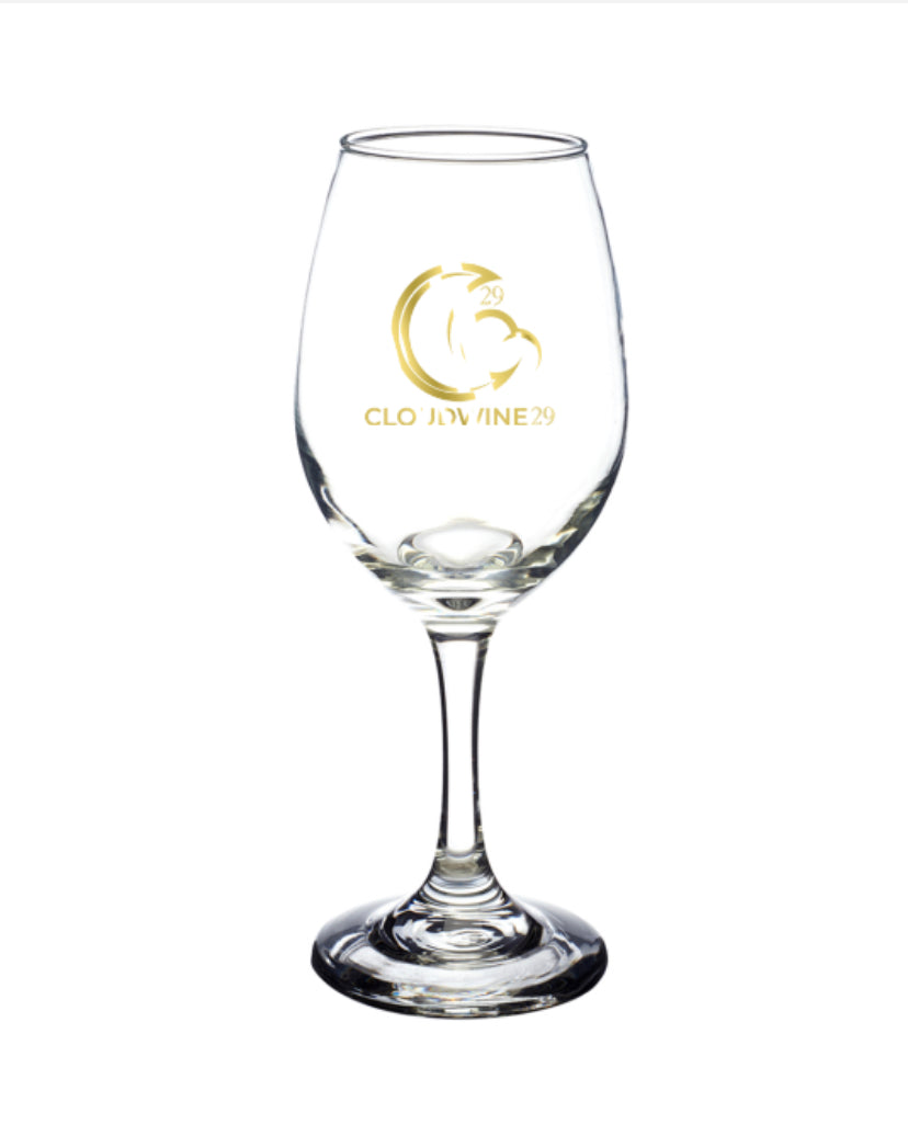 10oz Clear Wine Glass / Tasting Glass / CloudWine Glasses